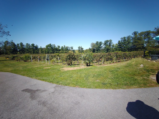 Vineyard «Elk Run Vineyards», reviews and photos, 15113 Liberty Rd, Mt Airy, MD 21771, USA