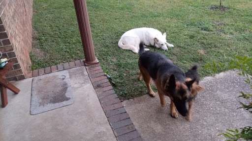 Car Dealer «Falls Chrysler Jeep Dodge», reviews and photos, 4100 State Rd, Cuyahoga Falls, OH 44223, USA