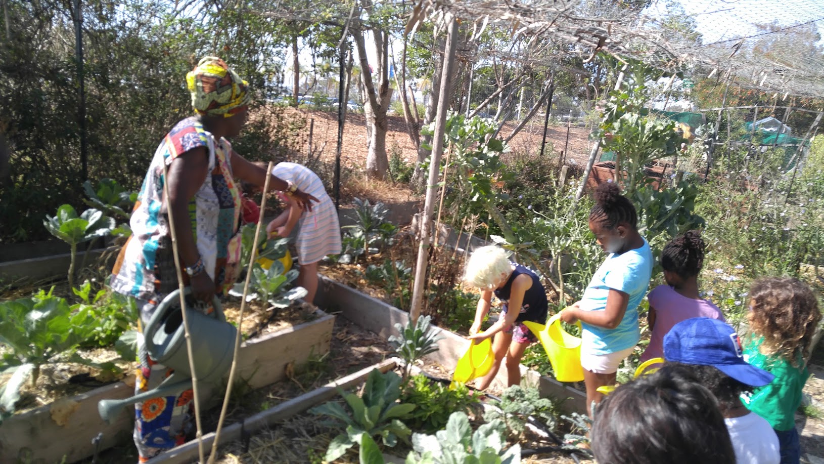 Children's Organic Ethnobotany Garden