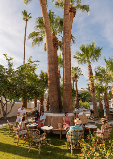 Dive Palm Springs image