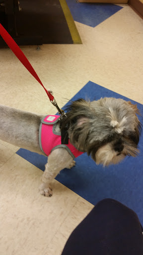 Pet Supply Store «Petsense Middlesboro», reviews and photos, 1875 N 25th St, Middlesboro, KY 40965, USA