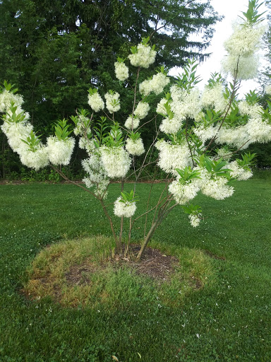 Recreation Center «Falcon Park Recreation Center», reviews and photos, 2195 N Hicks Rd, Palatine, IL 60074, USA