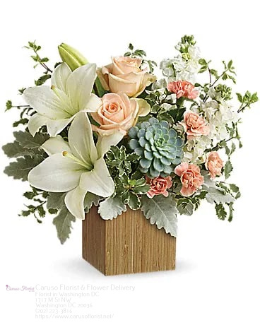 Florist «Caruso Florist», reviews and photos, 1717 M St NW, Washington, DC 20036, USA