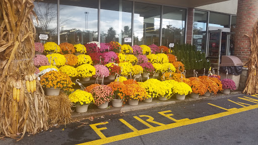 Grocery Store «ACME Markets», reviews and photos, 801 Kenilworth Blvd, Kenilworth, NJ 07033, USA