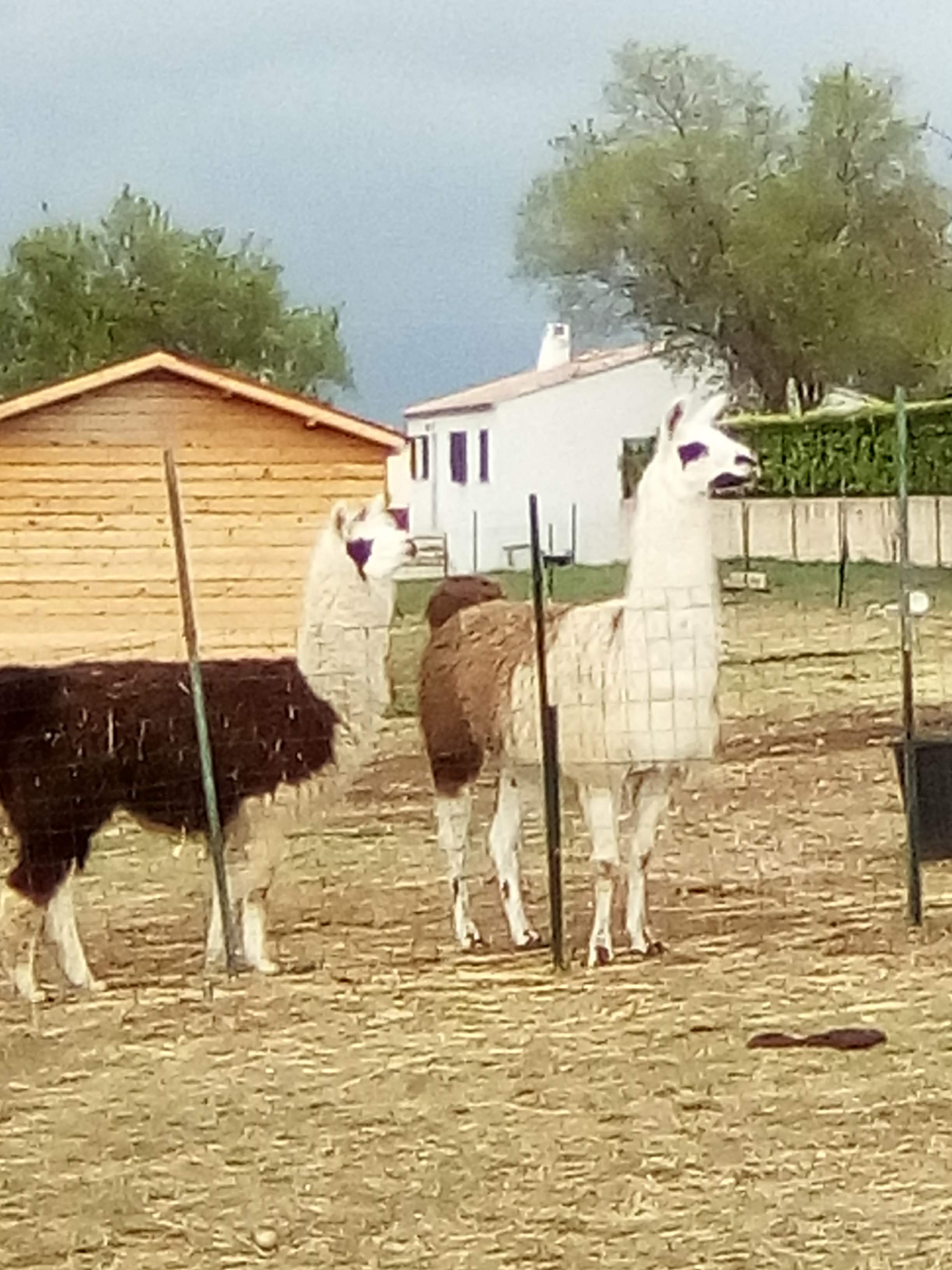 Photo n° 1 de l'avis de Laure.r fait le 10/04/2019 à 15:04