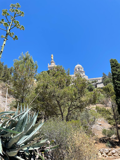 Chemin du bois sacré