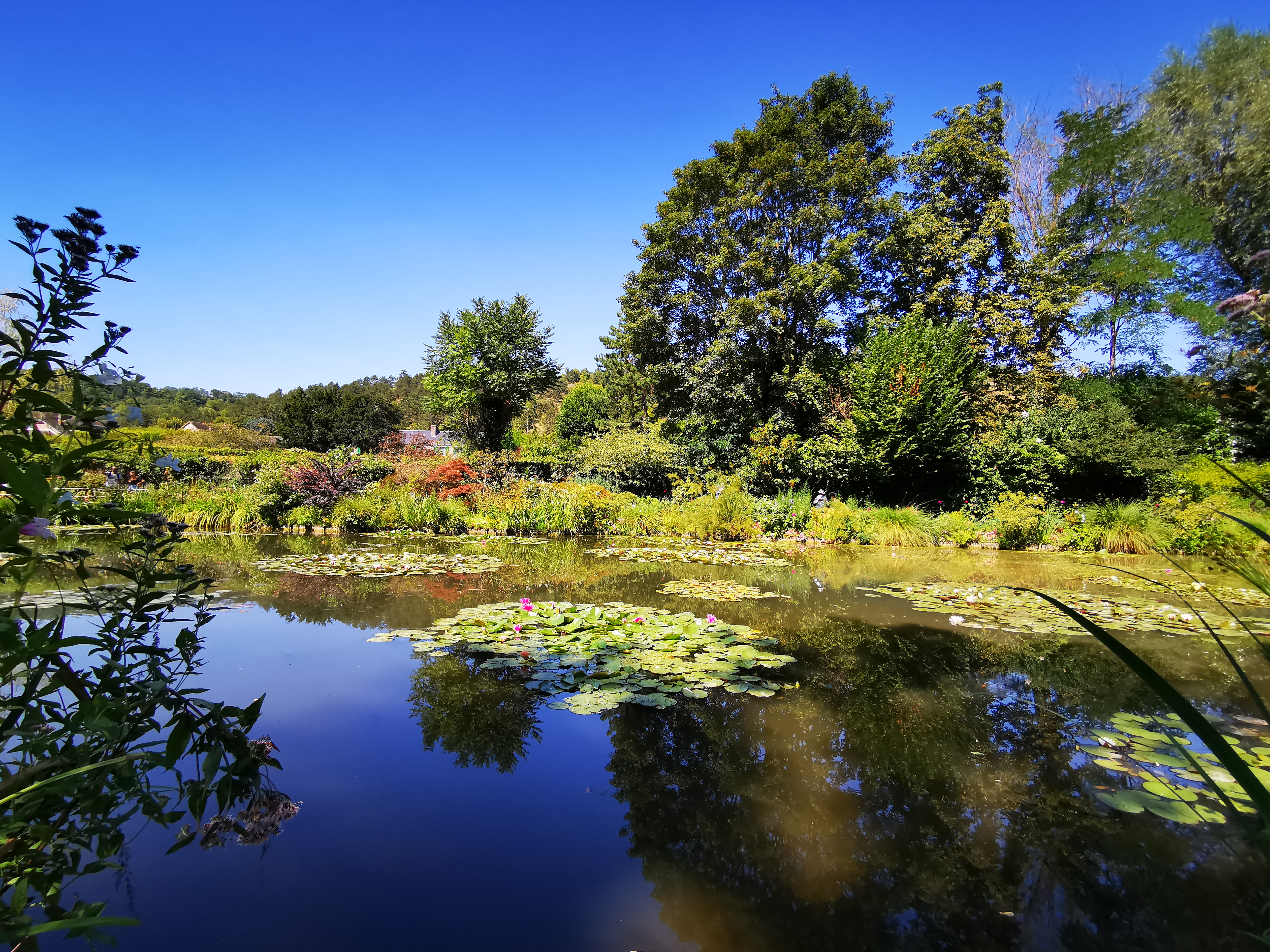 Photo n° 30 de l'avis de ASMA.A fait le 16/08/2022 à 18:29