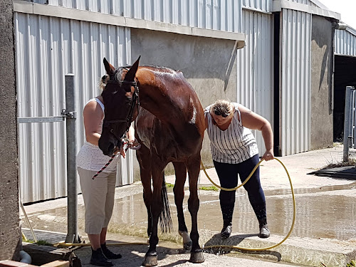 Les Ecuries du Haras Saint Georges à Marck