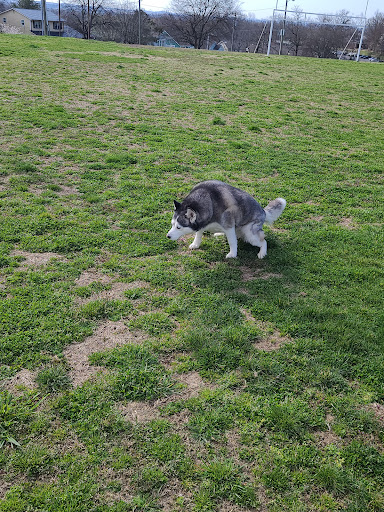 Community Center «South Inglewood Community Center», reviews and photos, 1624 Rebecca St, Nashville, TN 37216, USA