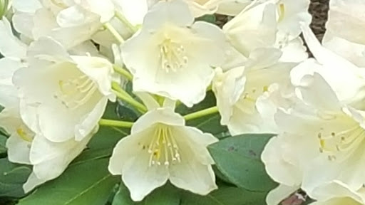 Park «Madison Square Park», reviews and photos, 11 Madison Ave, New York, NY 10010, USA