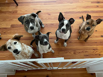 My Three Dogs Coleman - Photo 7 - Car repair in Mt Pleasant, SC, Charleston