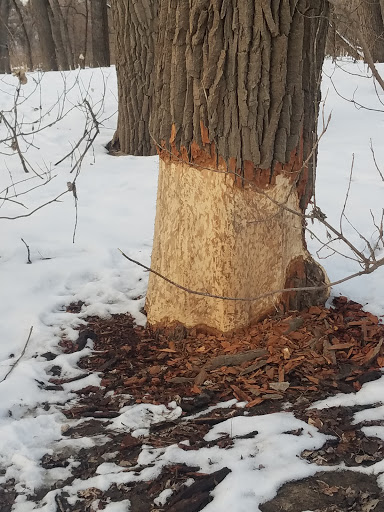 Nature Preserve «Crosby Farm Regional Park», reviews and photos, 2595 Crosby Farm Rd, St Paul, MN 55116, USA