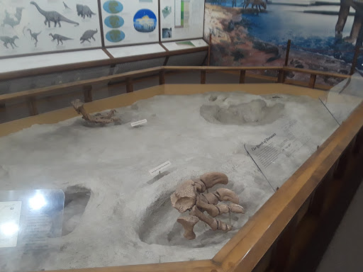 Gift Shop «Dinosaur Valley State Park Store», reviews and photos, 1629 Park Rd 59, Glen Rose, TX 76043, USA