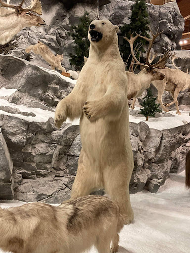 Sporting Goods Store «Bass Pro Shops», reviews and photos, 4500 Baldwin Rd, Auburn Hills, MI 48326, USA