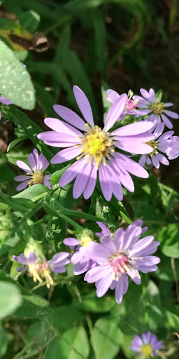 Nature Preserve «Audubon Greenwich», reviews and photos, 613 Riversville Rd, Greenwich, CT 06831, USA