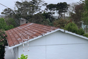 Auckland Roof Painting — North Shore