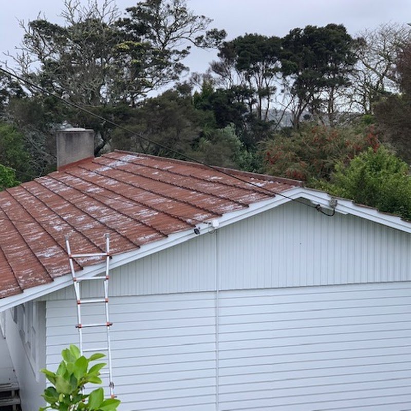 Auckland Roof Painting — North Shore