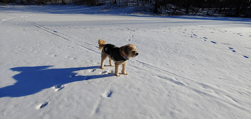 Golf Course «Island Valley Golf Course», reviews and photos, 1208 Fairport Rd, Fairport, NY 14450, USA