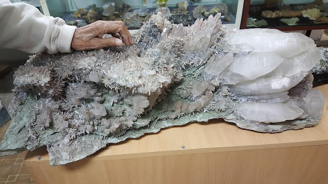 Opinii despre Muzeul de Mineralogie Constantin Gruescu în <nil> - Muzeu