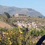 Photo n°1 de l'avis de filippo.a fait le 20/05/2022 à 17:53 sur le  Agriturismo Tenute Pispisa à Calatafimi-Segesta
