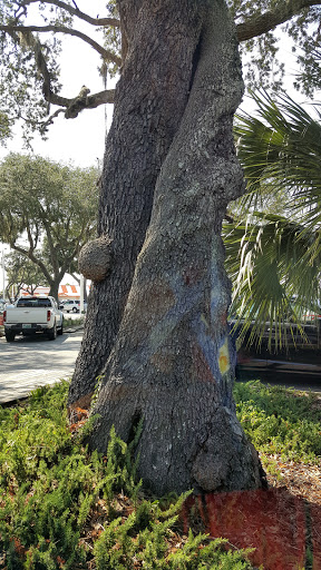 Movie Theater «Tree House Cinema», reviews and photos, 1175 Gulf Breeze Pkwy, Gulf Breeze, FL 32561, USA