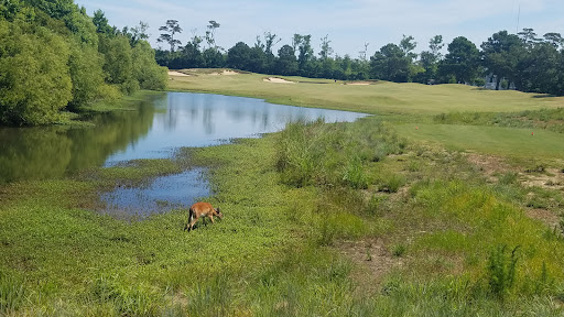 Golf Club «Kilmarlic Golf Club», reviews and photos, 215 West Side Ln, Powells Point, NC 27966, USA
