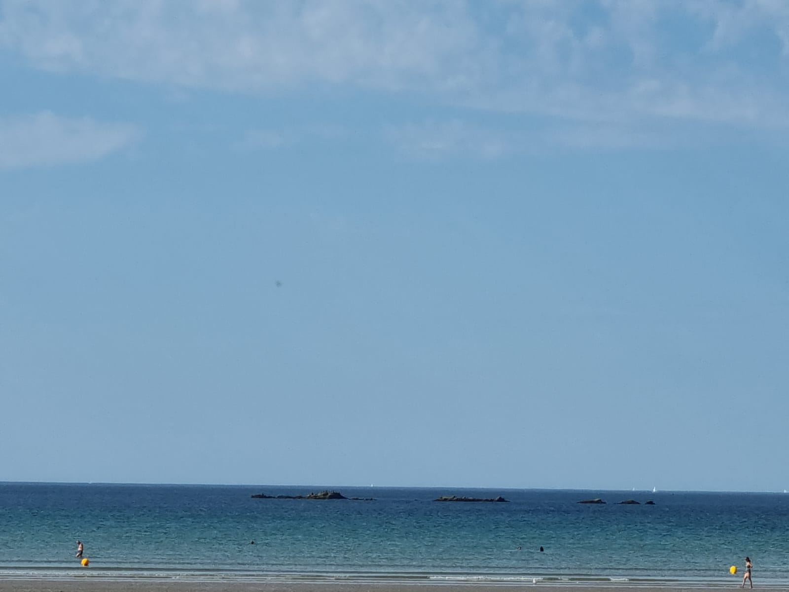 Photo n° 1 de l'avis de Couderc.e fait le 04/09/2022 à 11:26