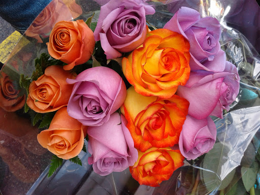 Florist «Flowerama», reviews and photos, 1676 Lexington Pkwy N, St Paul, MN 55117, USA