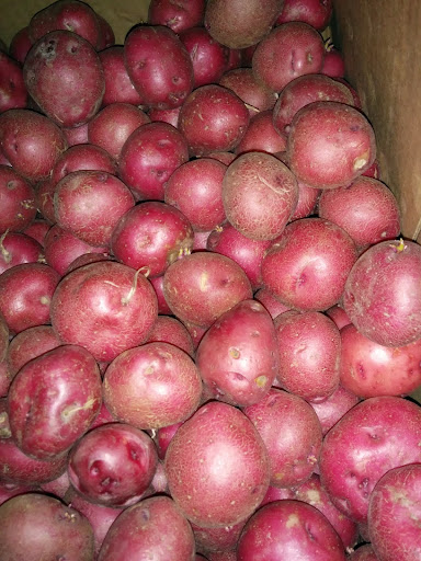 Grocery Store «Indian Supermarket», reviews and photos, 9400 N MacArthur Blvd # 114, Irving, TX 75063, USA