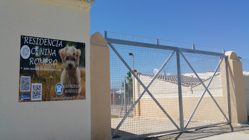 Guarderías caninas y cuidadores de mascotas en Ávila de 2024