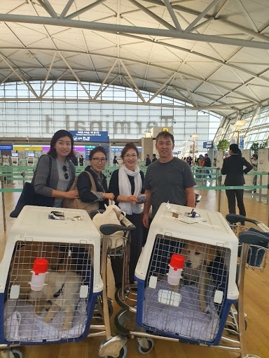 Animal Rescue Service «Motley Zoo Animal Rescue», reviews and photos, 16715 Cleveland St A, Redmond, WA 98052, USA