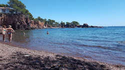 Foto von Beach Brieux wilde gegend