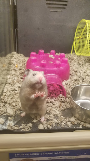 Pet Supply Store «PetSmart», reviews and photos, 745 W Huntington Dr, Monrovia, CA 91016, USA