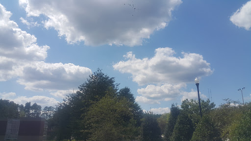 Pharmacy «Hana Pharmacy», reviews and photos, 4195 Pleasant Hill Rd, Duluth, GA 30096, USA