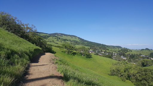 Sports Club «Rolling Hills Club», reviews and photos, 351 San Andreas Dr, Novato, CA 94945, USA