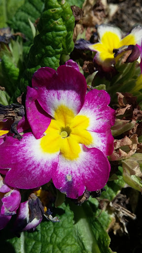 Book Store «Pipe & Thimble Bookstore», reviews and photos, 24830 Narbonne Ave, Lomita, CA 90717, USA