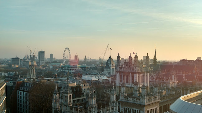 Bird & Bird - Attorney