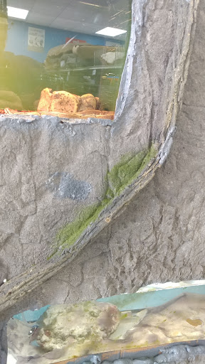 Pet Store «Everything Pet», reviews and photos, 3616 N Fry Rd, Katy, TX 77449, USA