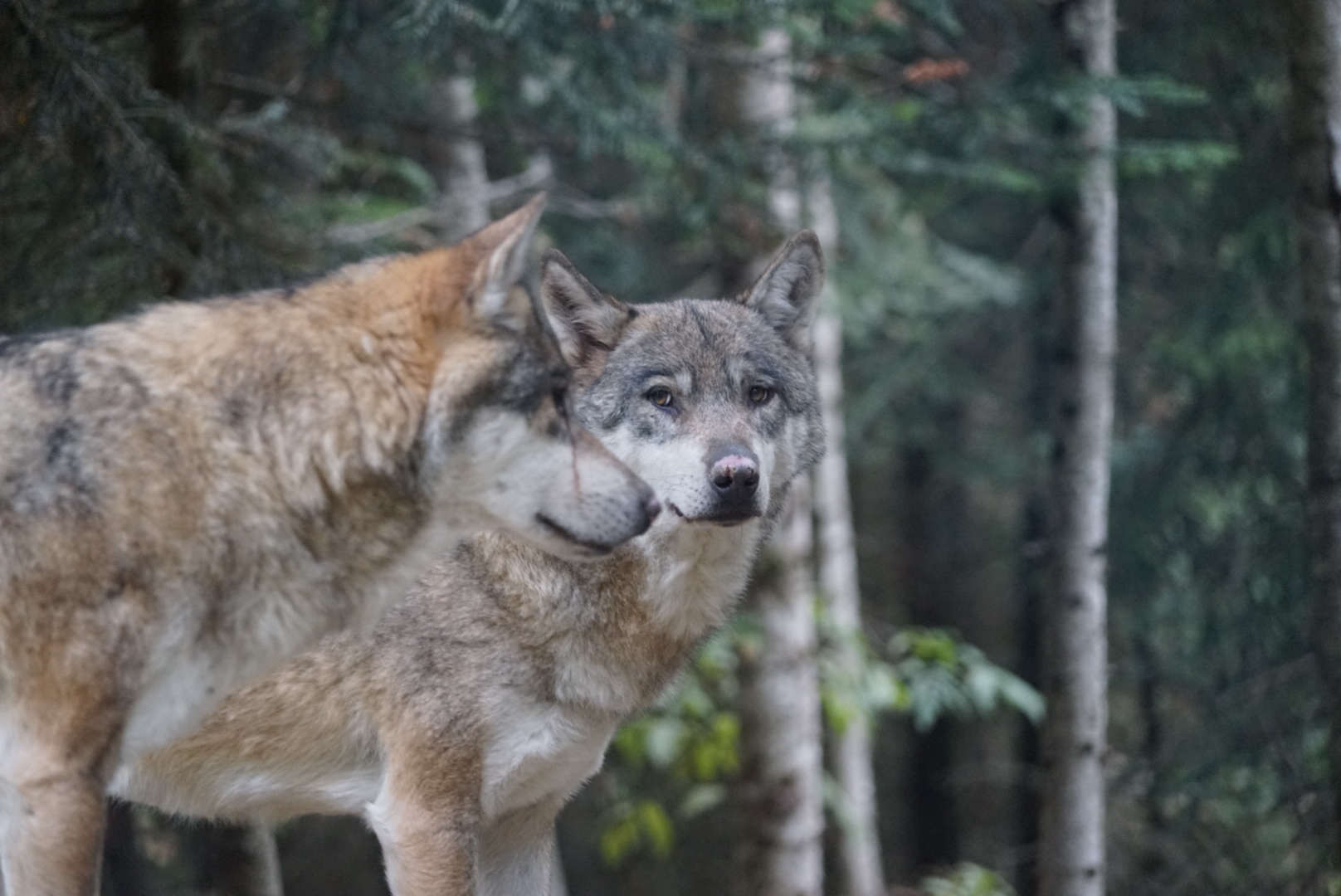 Photo n° 2 de l'avis de Azurelite.s fait le 26/09/2017 à 18:59