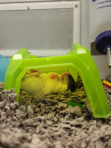 Pet Supply Store «Petco Animal Supplies», reviews and photos, 260 W Main St, Amelia, OH 45102, USA