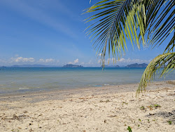 Laem Bong Beach'in fotoğrafı geniş bir kıyı şeridi ile birlikte