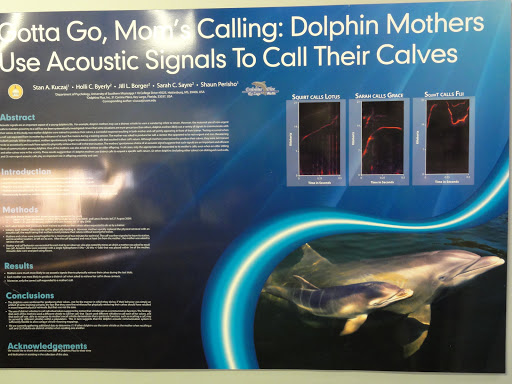 Recreation «Dolphins Plus Oceanside», reviews and photos, 31 Corinne Pl, Key Largo, FL 33037, USA