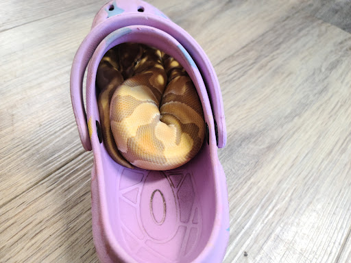 Pet Store «Pet Haven Pet Shop», reviews and photos, 19 US-6, Valparaiso, IN 46385, USA