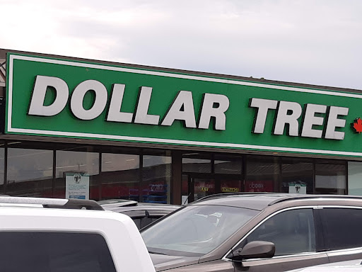 Dollar Store «Dollar Tree», reviews and photos, 13 Washington Ave, Belleville, NJ 07109, USA