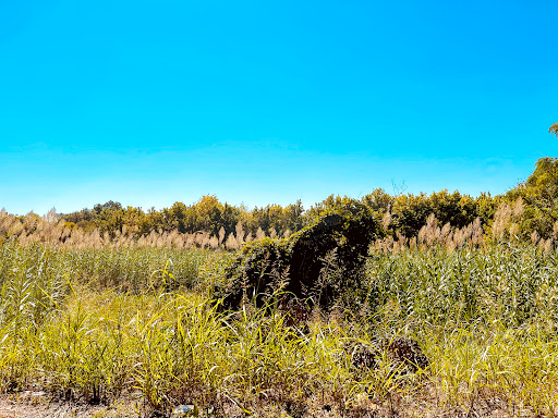 Park «Glendale Park», reviews and photos, 1515 E Ledbetter Dr, Dallas, TX 75216, USA