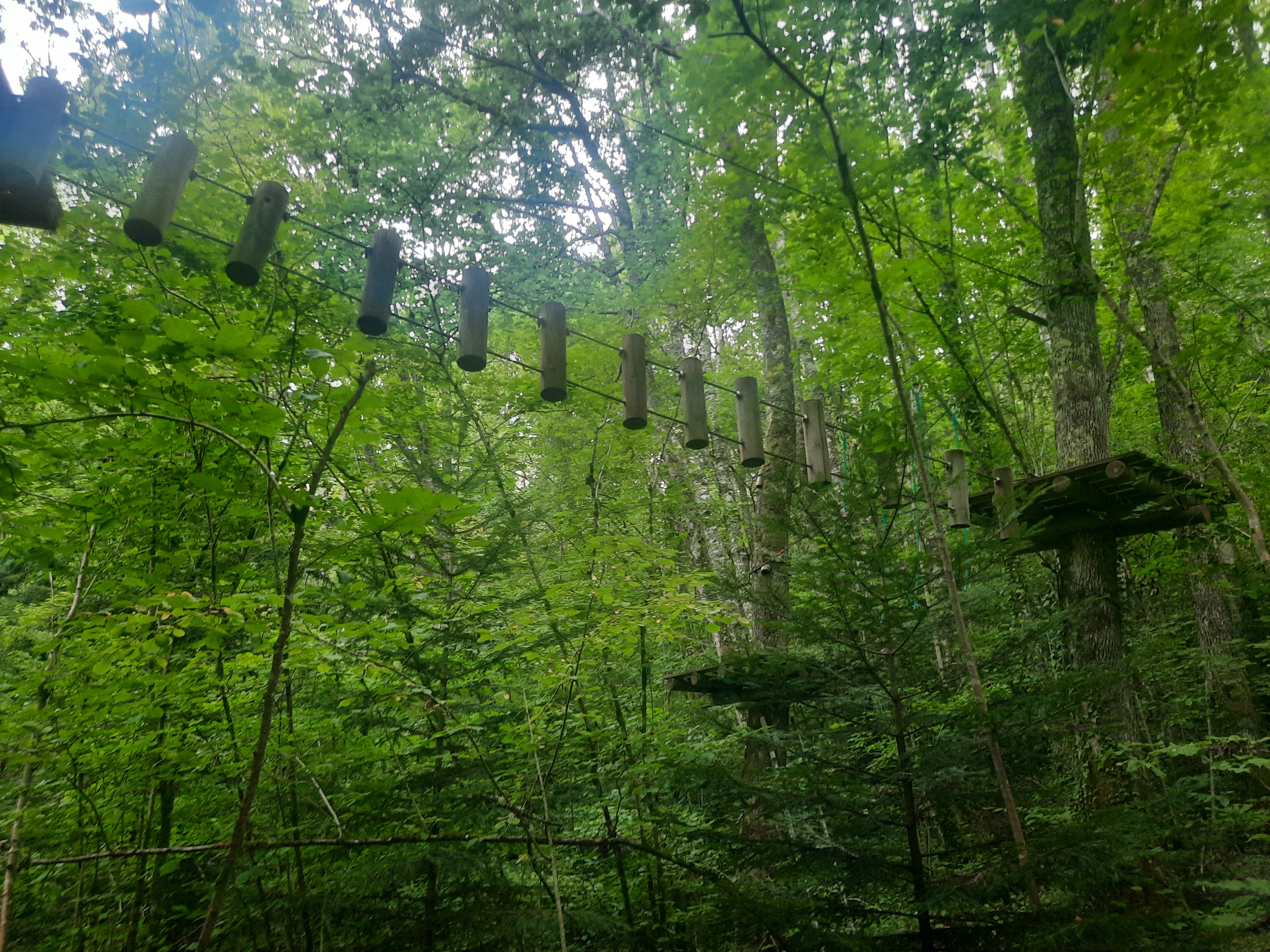 Photo n° 32 de l'avis de DIMA.A fait le 15/08/2021 à 16:23