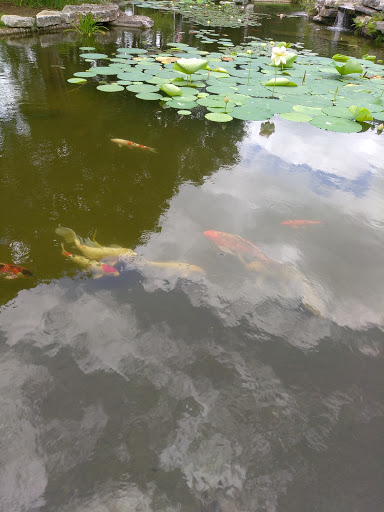 Club «Sun City Texas Community Association», reviews and photos, 2 Texas Dr, Georgetown, TX 78633, USA