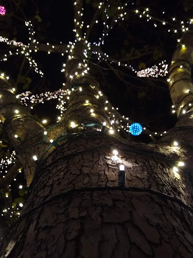 Shopping Mall «Fourth Street Shops», reviews and photos, 1834 Fourth St, Berkeley, CA 94710, USA