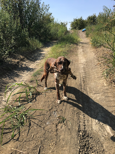 Airsoft Supply Store «878 Airsoft», reviews and photos, 4020 Farm to Market Rd 878, Waxahachie, TX 75165, USA