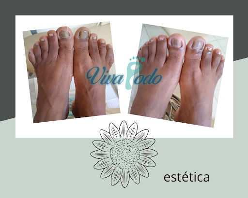 Logo da empresa - Vivapodo